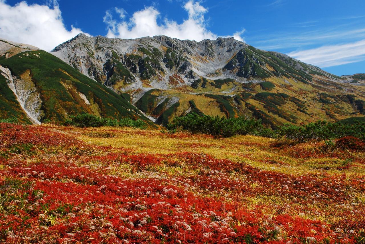 Tateyama Kogen Hotel Toyama Bagian luar foto