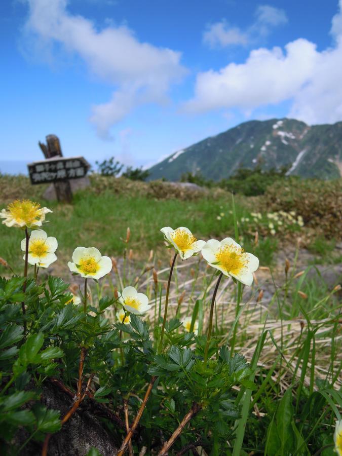 Tateyama Kogen Hotel Toyama Bagian luar foto